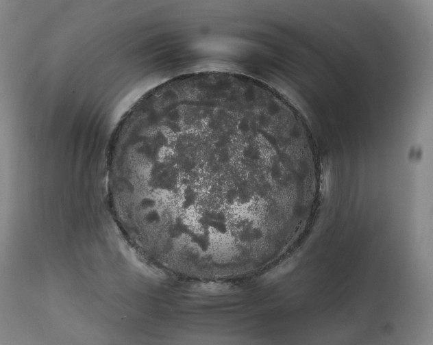 X0000111451117200907201042