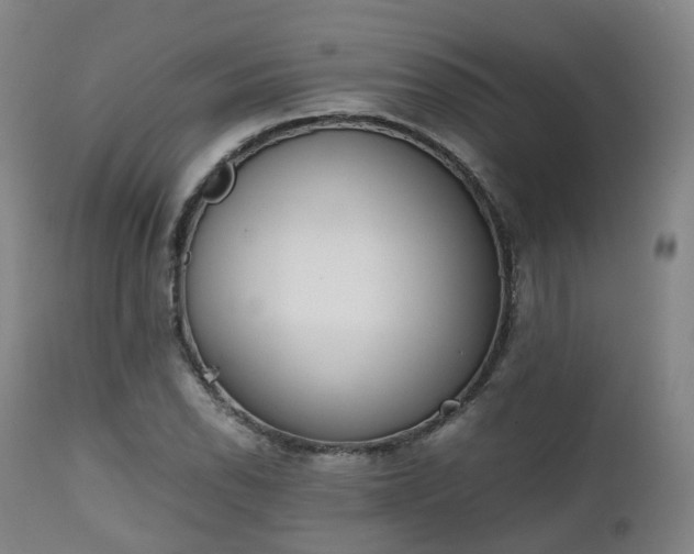 X0000111451118200907201042