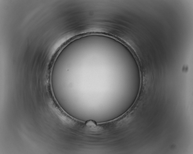 X0000111451119200907201042