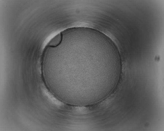 X0000111451120200907201042