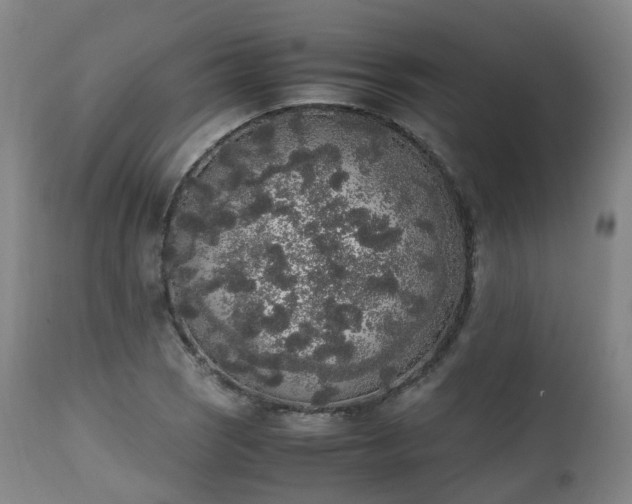 X0000111451121200907201042