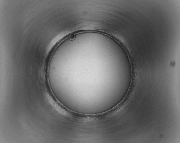 X0000111451122200907201042