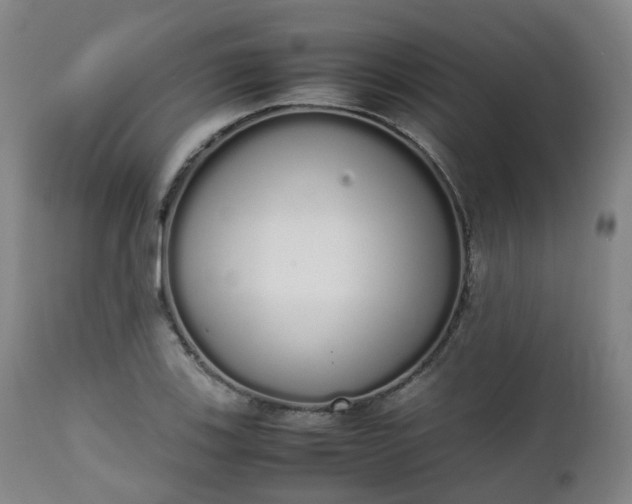 X0000111451123200907201042