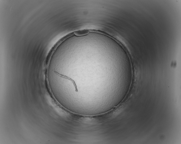 X0000111451124200907201042