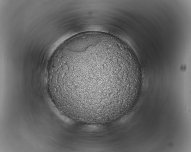 X0000111451125200907201042