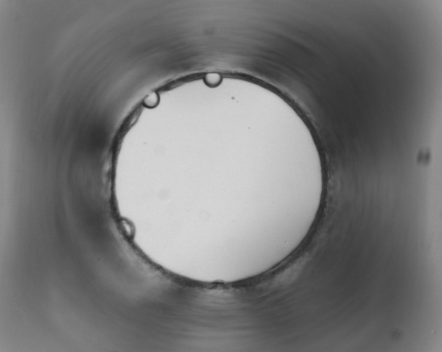X0000111451126200907201042