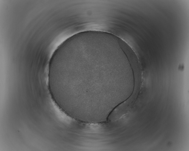X0000111451128200907201042