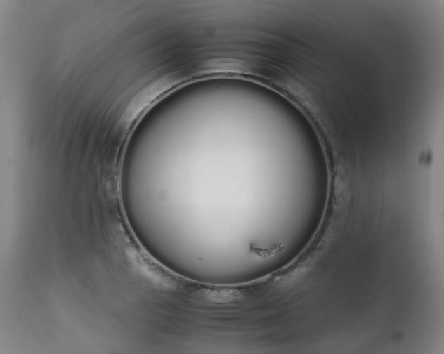 X0000111451129200907201042