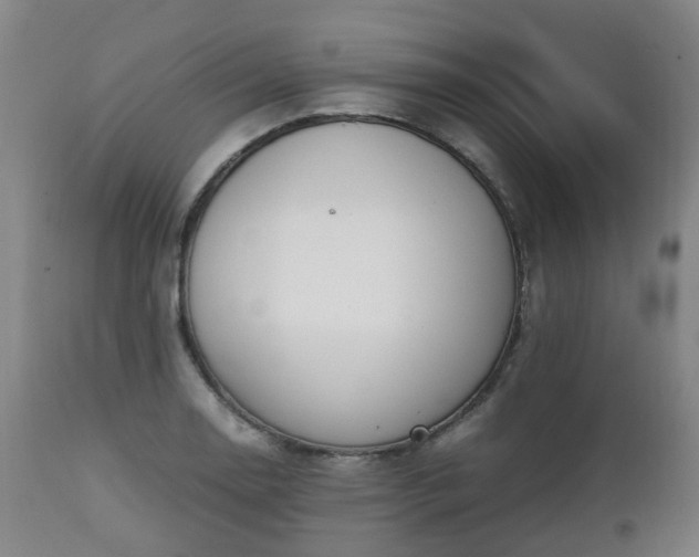 X0000111451130200907201042