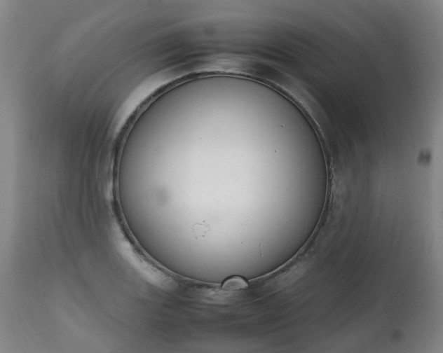 X0000111451131200907201042