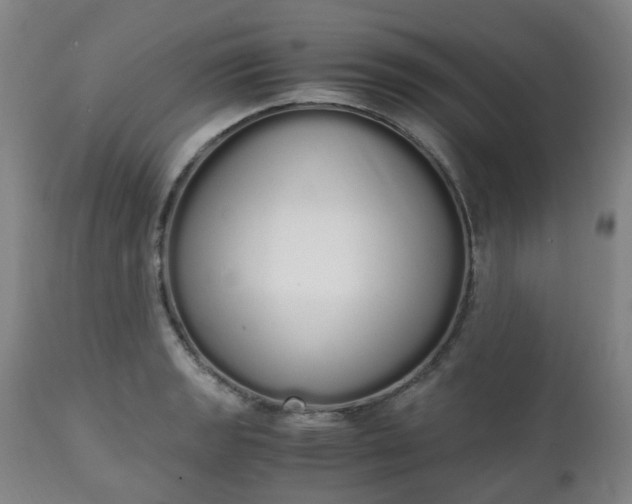 X0000111451133200907201042