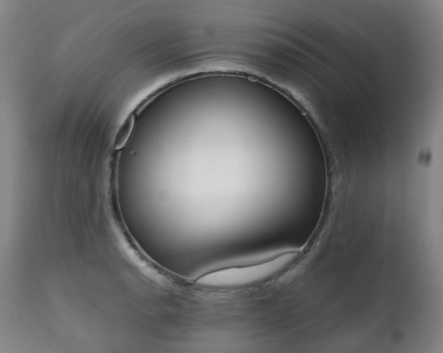X0000111451134200907201042