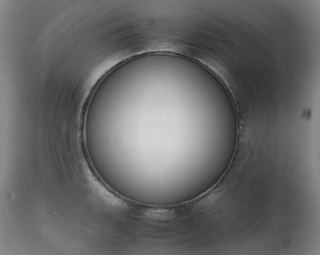 X0000111451135200907201042