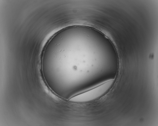 X0000111451136200907201042