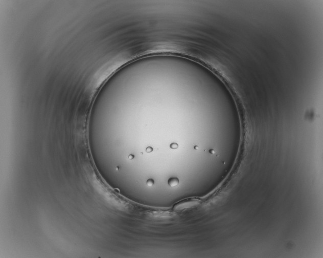 X0000111451137200907201042