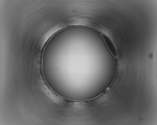 X0000111451138200907201042