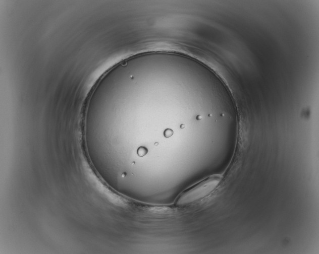 X0000111451142200907201042