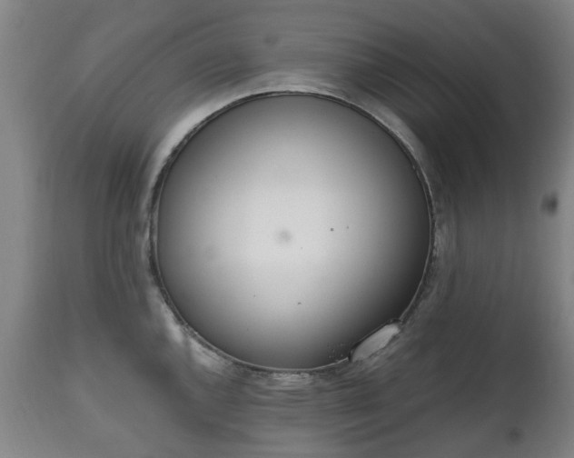 X0000111451144200907201042