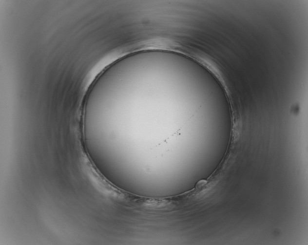 X0000111451146200907201042