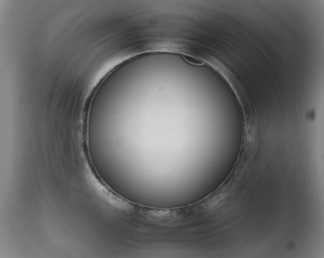 X0000111451147200907201042