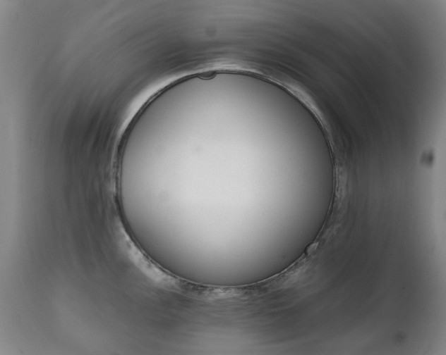 X0000111451148200907201042
