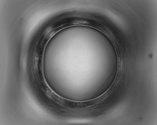 X0000111451151200907201043