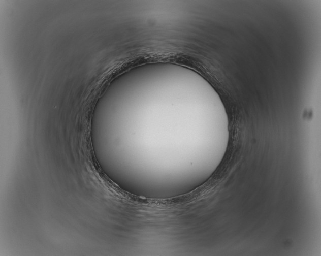 X0000111451153200907201042