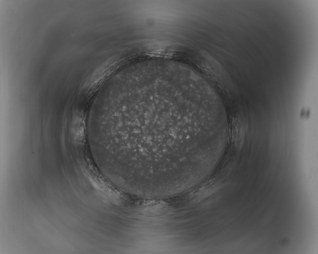 X0000111451154200907201042