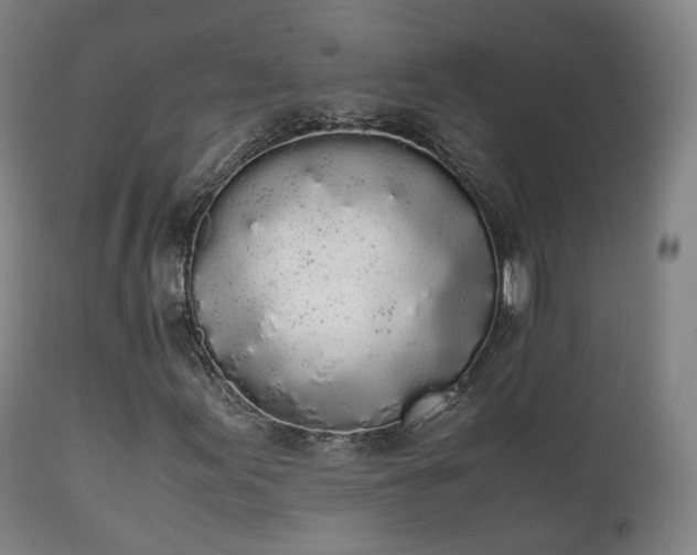 X0000111451155200907201042