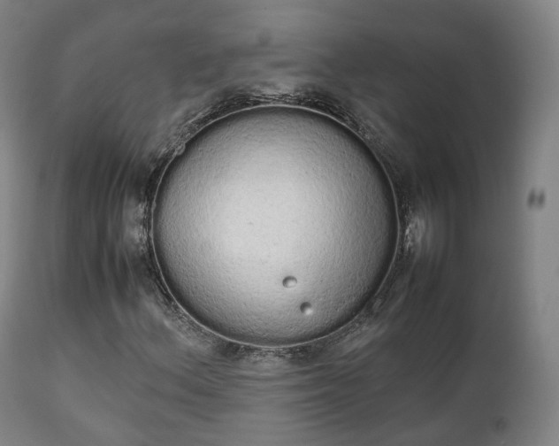 X0000111451156200907201042