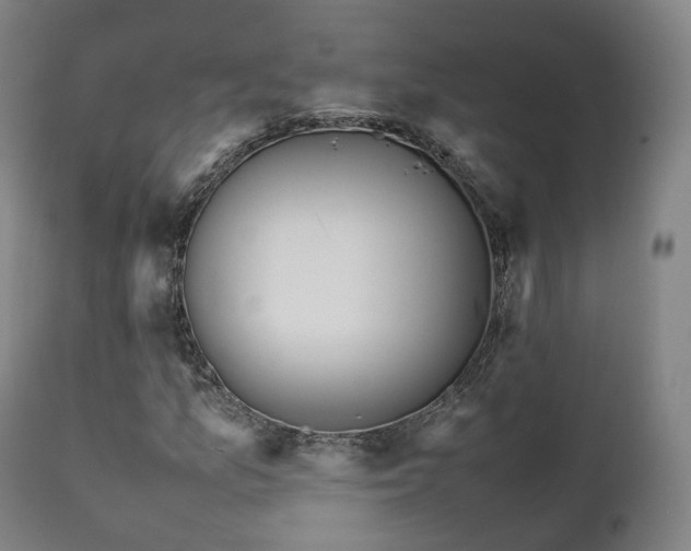 X0000111451157200907201042