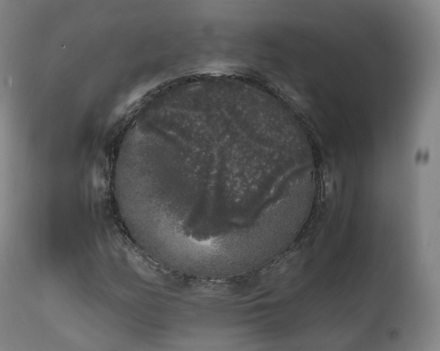 X0000111451158200907201042