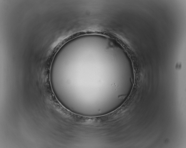 X0000111451160200907201042