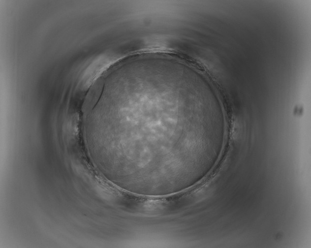 X0000111451161200907201042