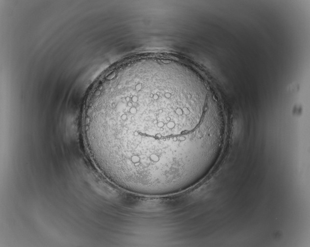 X0000111451162200907201042
