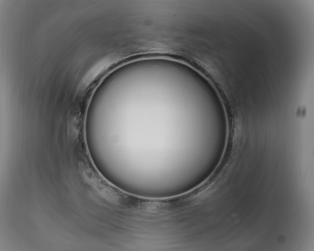 X0000111451163200907201042