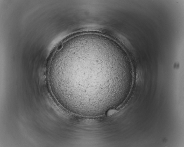 X0000111451164200907201042
