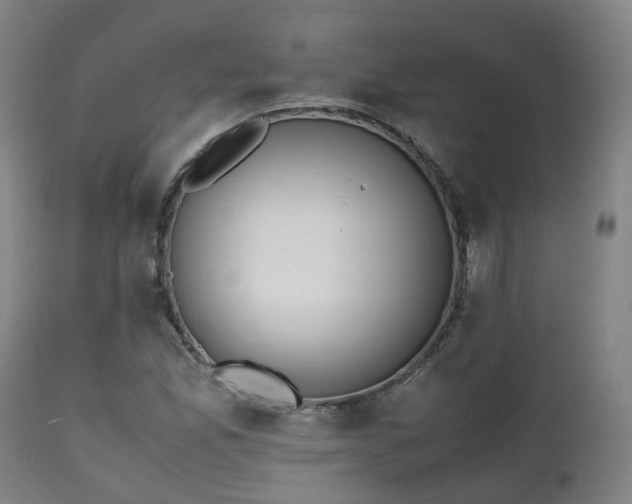 X0000111451165200907201042
