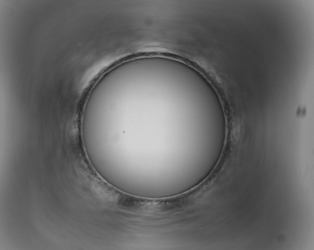 X0000111451167200907201042