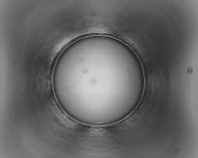 X0000111451168200907201041
