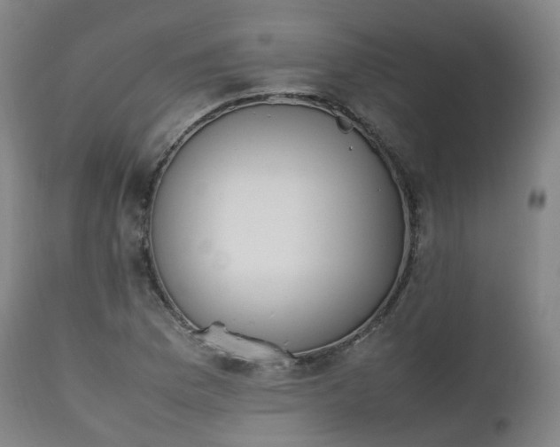X0000111451169200907201041