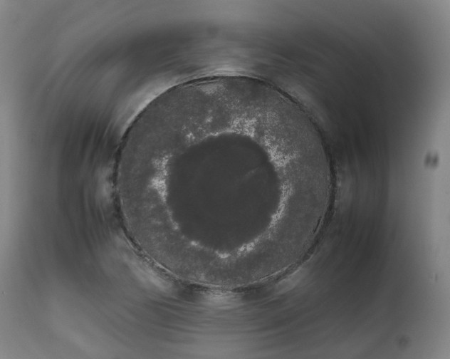 X0000111451170200907201041