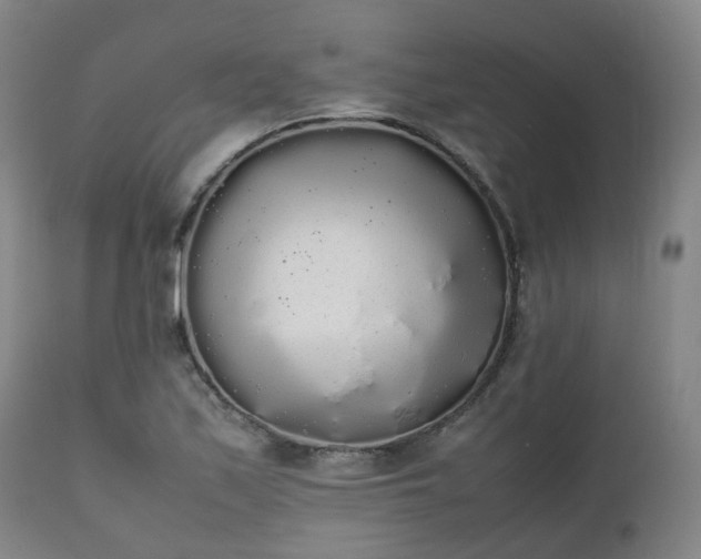 X0000111451171200907201041