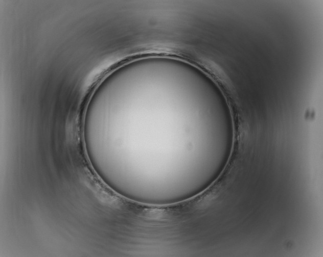 X0000111451172200907201041