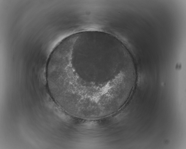 X0000111451174200907201041