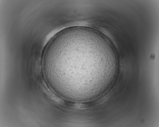 X0000111451176200907201041