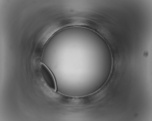 X0000111451177200907201041