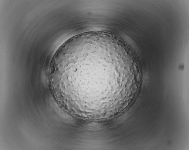 X0000111451178200907201041
