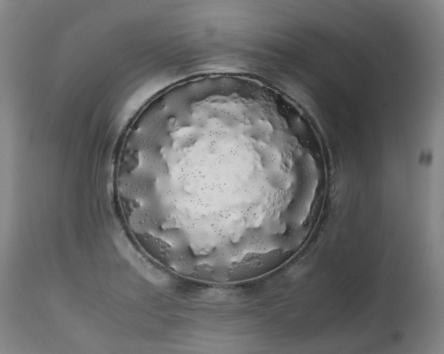 X0000111451179200907201041