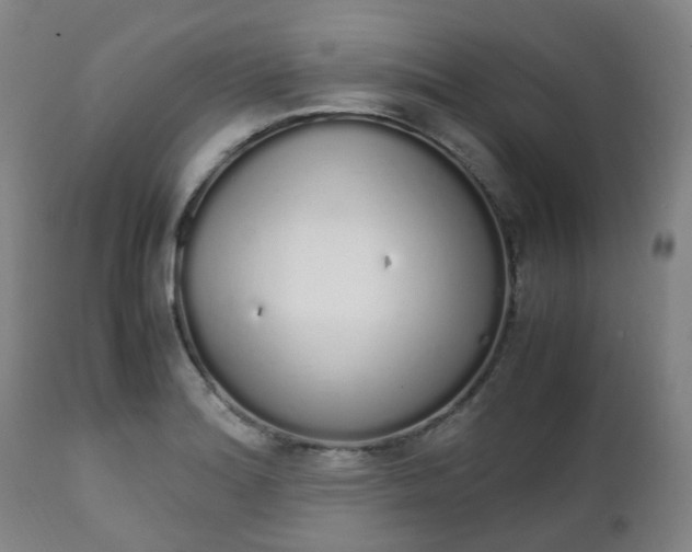X0000111451180200907201041
